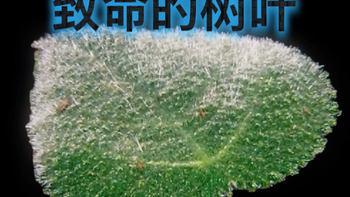 Khi bạn gặp chuyện bùng nổ