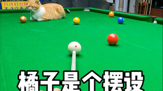 البرتقالة الصغيرة مجرد ديكور