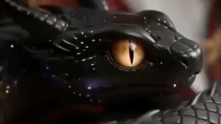 18+ Rejecting the phoenix, taming the dragon