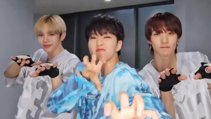 Thử thách Talk Saxy cùng tiền bối Hoshi của SEVENTEEN! RIIZE-SHOTARO ANTON