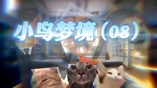 理想世界，黄粱一梦？——《小鸟梦境》（8）