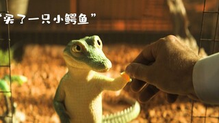 "被一只鳄鱼绿了，是种什么体验..."