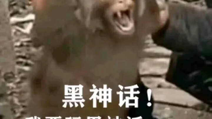 Hiện trạng ngày phát hành Black Myth