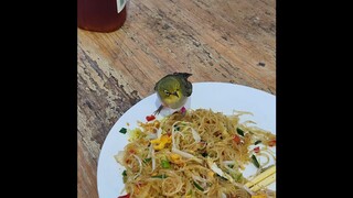 Burung apa nih