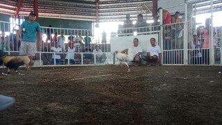 hirang 4x winner