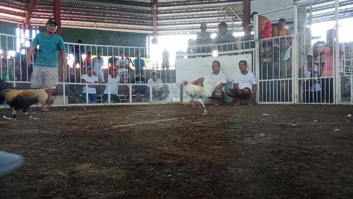 hirang 4x winner