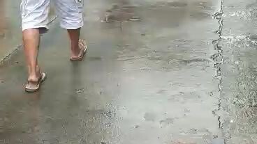 win sweater dome...#tupada#4ms gamefowl