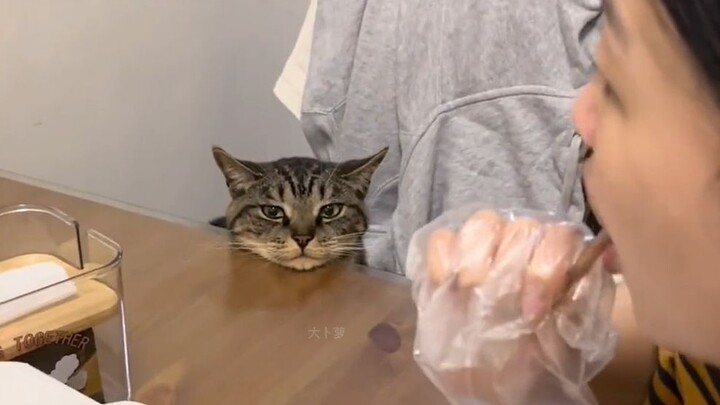 It's time to eat, but not for me