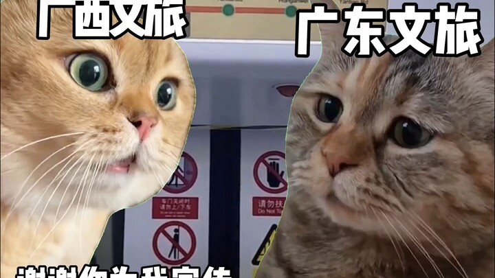 مدى شراسة المنافسة بين المناطق في قطاع السياحة والثقافة