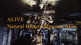 Natural History Museum Alive with David Attenborough. Official trailer(1)