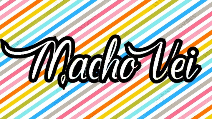 Programa do Macho Véi - 351