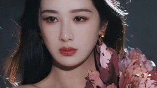杨紫生辰快乐！无法阻挡旎、女王之路！