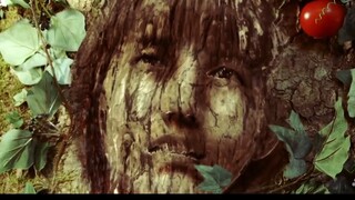[เหมียว-ทวีต จิ้งจอกสุดขั้ว] ตอนที่ 42-43 ความเห็น : ช่องว่างระหว่างอุดมคติกับความจริง จิงเหอ ที่กลา