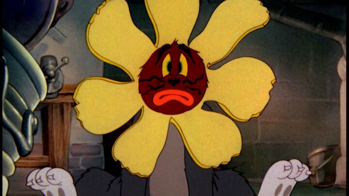 I am a rich and beautiful flower in this world.