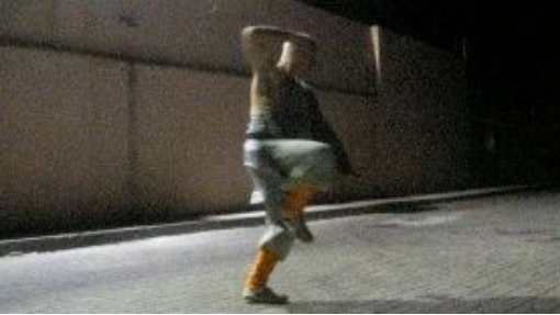 少林小洪拳  SHAOLIN Xiao Hong Quan