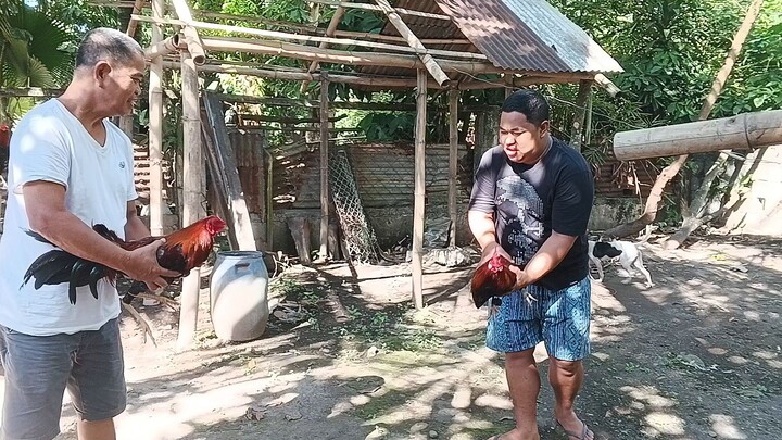 lugon pa konte buntot di makahig 3/30/24