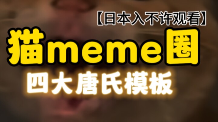 Cat meme circle: the Four Great Kingpins of Content Creation 😡