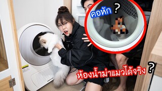 ห้องน้ำอัตโนมัติฆ่าแมวตามข่าวได้จริง? (ลองใส่แมวขณะเครื่องหมุน)