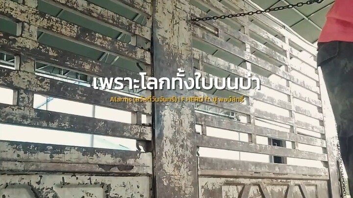 การทำงาน