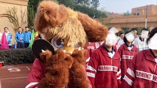 I actually danced in the Pure Land of Bliss at the sports meeting wearing an animal costume!