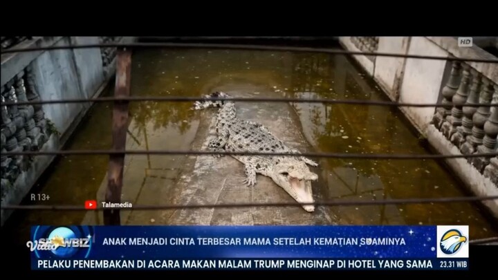 Showbizz (Metro TV) 26/4/2026