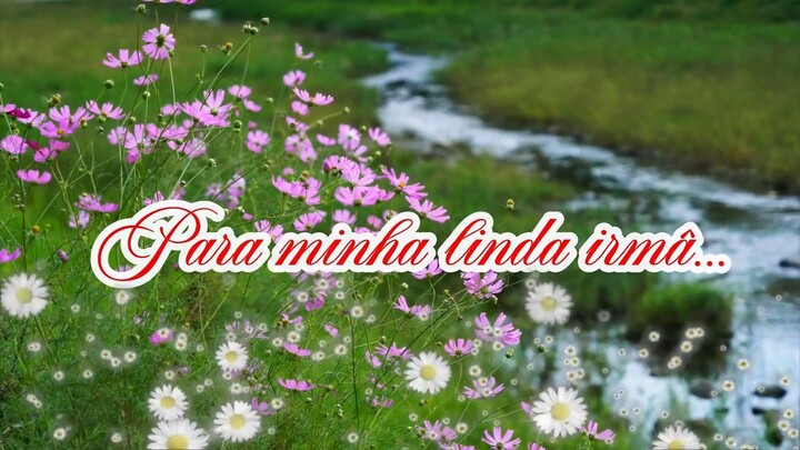 FELIZ ANIVERSÁRIO MINHA IRMÃ QUERIDA - FELIZ ANIVERSÁRIO PARA IRMÃ - MENSAGEM PA