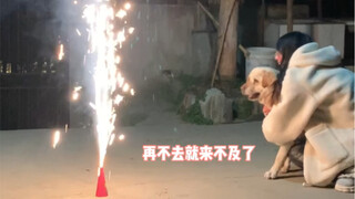 Tôi muốn đốt pháo hoa và quay một video lãng mạn với chú chó của mình, nhưng chú chó cứu hỏa lại rất