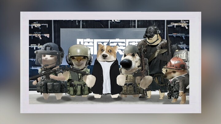 Dark Zone Breakout 3rd Anniversary — Dog-Headed Dragon's Trip to Shanghai