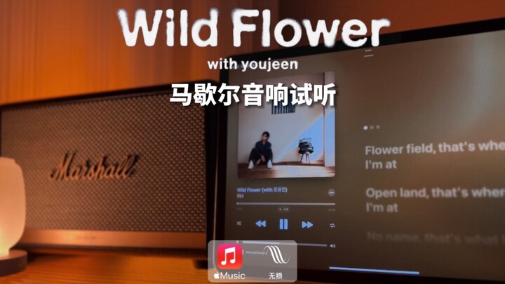 Marshall Audio Demo | Wild Flower - RM Kim Nam-joon (ft. Youjeen Jo Yoo-jin)