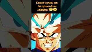 Tu y yo Contra el mundo- Dragon Ball Super🐲