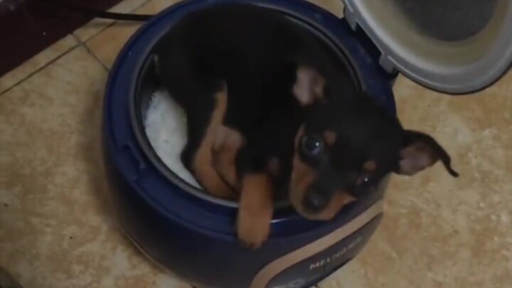 كنتُ أظن أنه مخبئي الجديد!