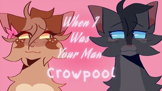 When I Was Your Man - Crowpool PMV