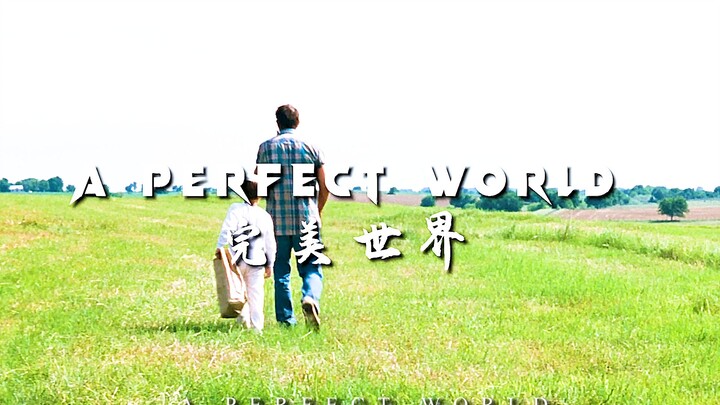 “世界是不完美的，但是不完美才是人生”