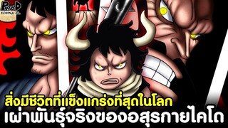 วันพีช - เผ่าพันธุ์จริงของอสุรกายไคโด สิ่งมีชีวิตที่แข็งแกร่งที่สุดในโลก [KOMNA CHANNEL]