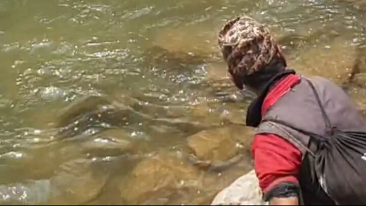 cast net fishing in Nepal | himalayan trout fishing with handmade cast net |