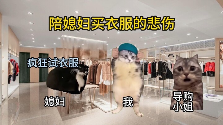 【Meme kucing】Kesedihan saat menemani istri belanja baju