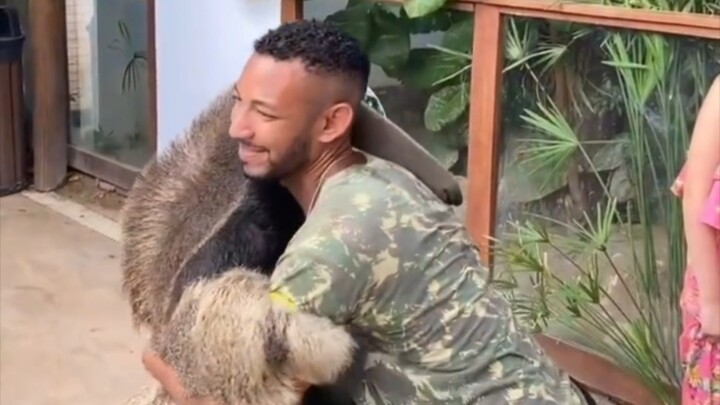 Ẵm một con thú ăn kiến khổng lồ, mà còn là một bé con!