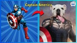Superhero Characters As Real Life Dogs