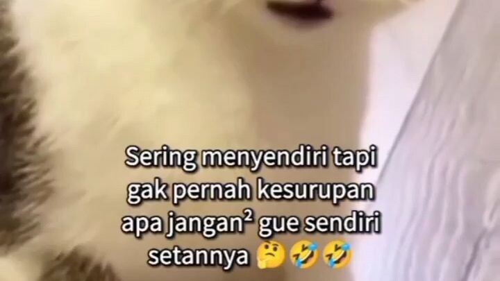 apa iya??