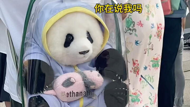 哪个好人穿高跟鞋爬山啊？！呜呜呜下次出去玩一定认真仔细看攻略！
