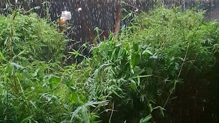 rain