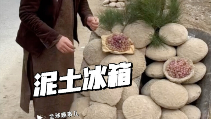 阿富汗的“泥土冰箱”，这种大饼状的盒子，竟能保存葡萄6个月！