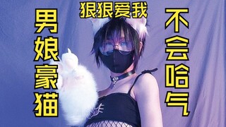 男娘豪猫，不会哈气