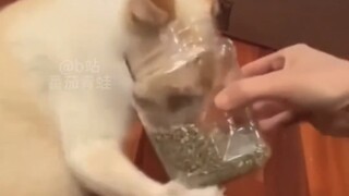 ติ๊กต็อก ยากจะรับมือ บันทึกแอบสแตรก #96 (เวอร์ชันสะอาด)