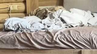 مهما كان العمل مرهقًا، احرص على أخذ قسط من الراحة.