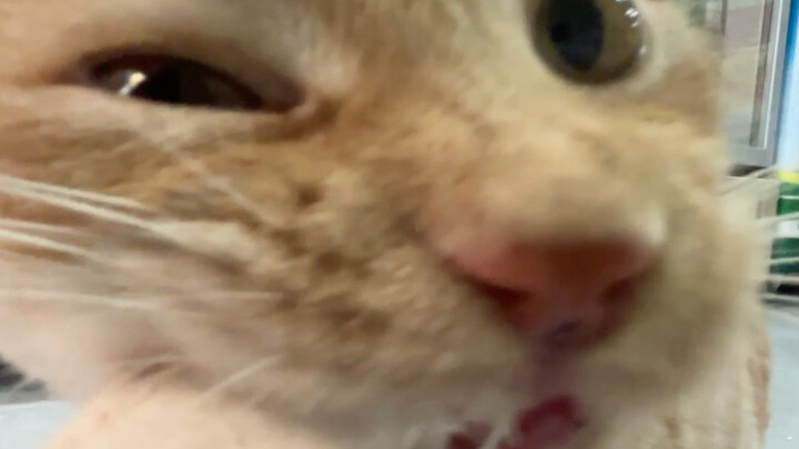 Bạn chẳng biết gì về sự tàn nhẫn của Hoa Hoa đâu!!!