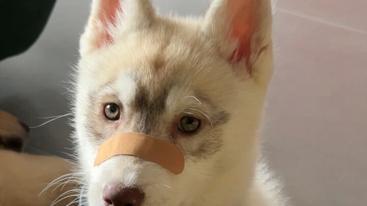 ถ้างั้นก็บอกลาให้ดีๆ ละกัน