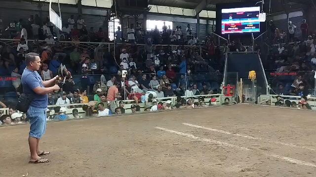 win hackfight sa lca