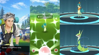 Snivy In The Sunshine Special Research Story | Pokemon Go Shiny Snivy Community Day 2021