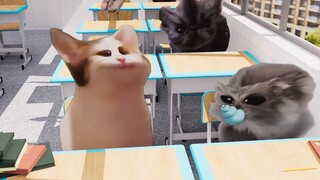 Come on, come on, you take the teacher's position.